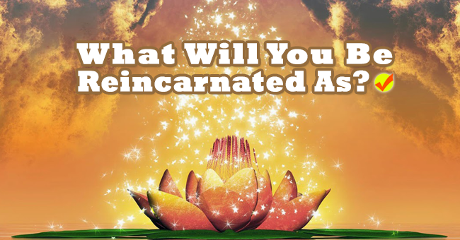 What Will You Be Reincarnated As